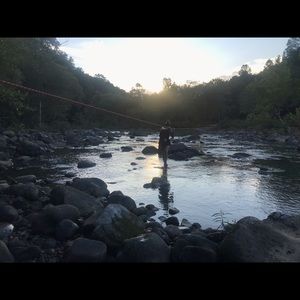 Meet your Posher, Ariela